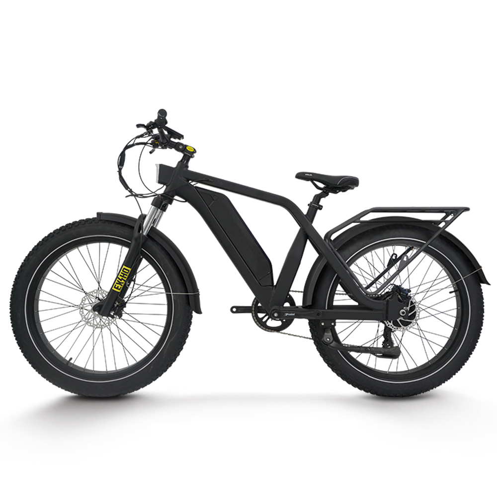 *forElectric Bike for Adults 1 - 48V 1500W Rear Hub Motor With Battery 评论和价格