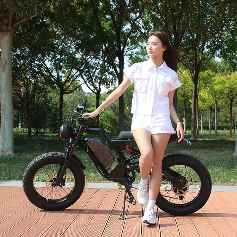 SXLL SXLL13Ah lithium battery  - 48V 1500W Rear Hub Motor With Battery 评论和价格